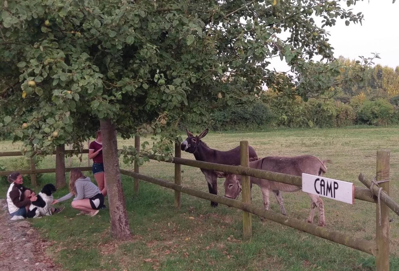 Carentan-les-Marais Domaine Airborne Bed & Breakfast エクステリア 写真